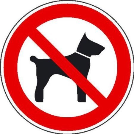 Mitführen von Tieren verboten Verbotsschild, Büro Sicherheit 20cm 2